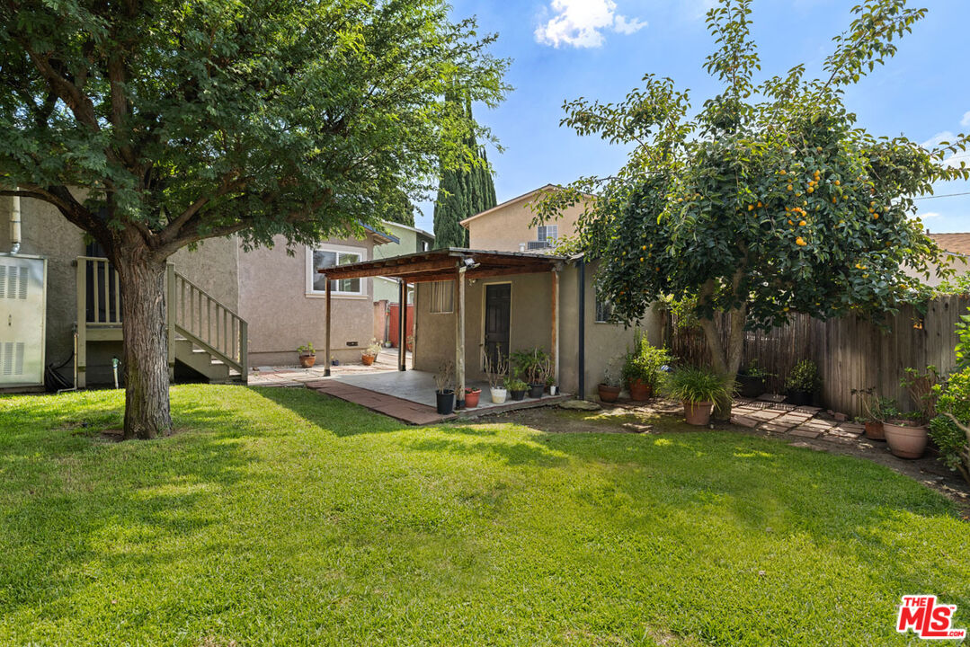 Backyard with a broad lawn, mature trees, fruit tree, and covered patio.