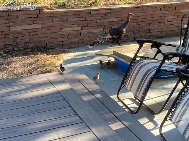 1055 Golden Hills Road