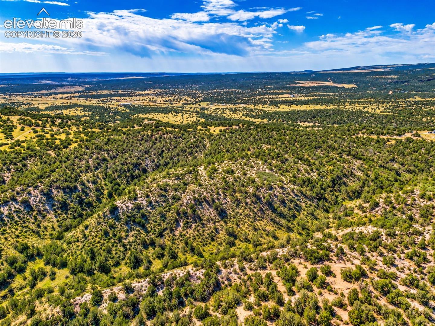 TBD Newton Road