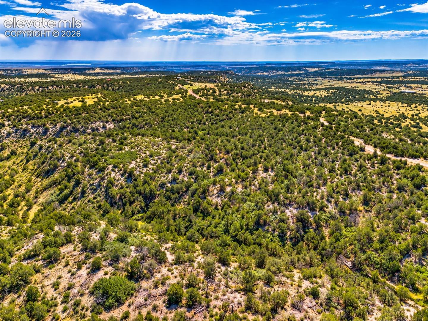 TBD Newton Road