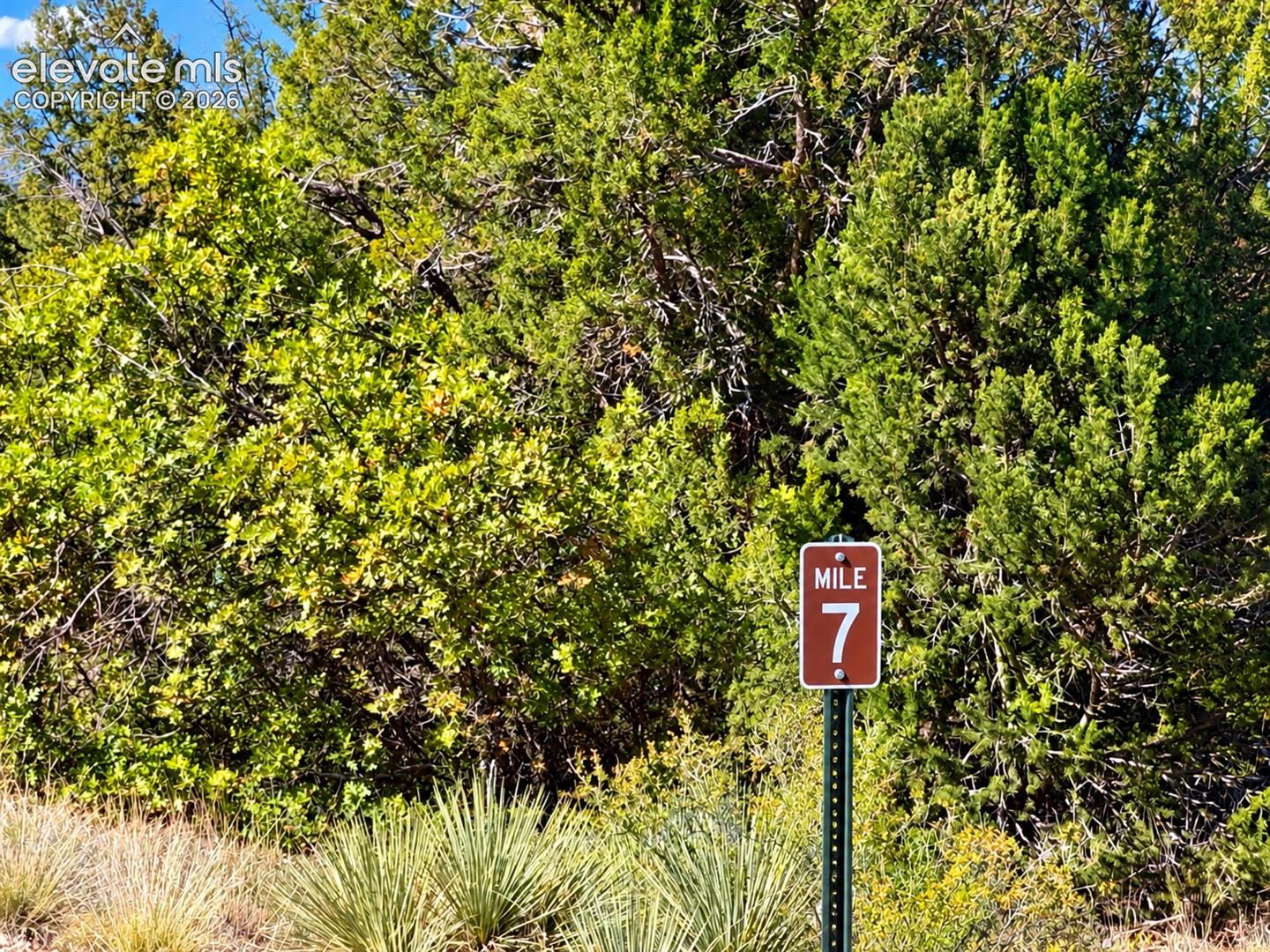 TBD Newton Road
