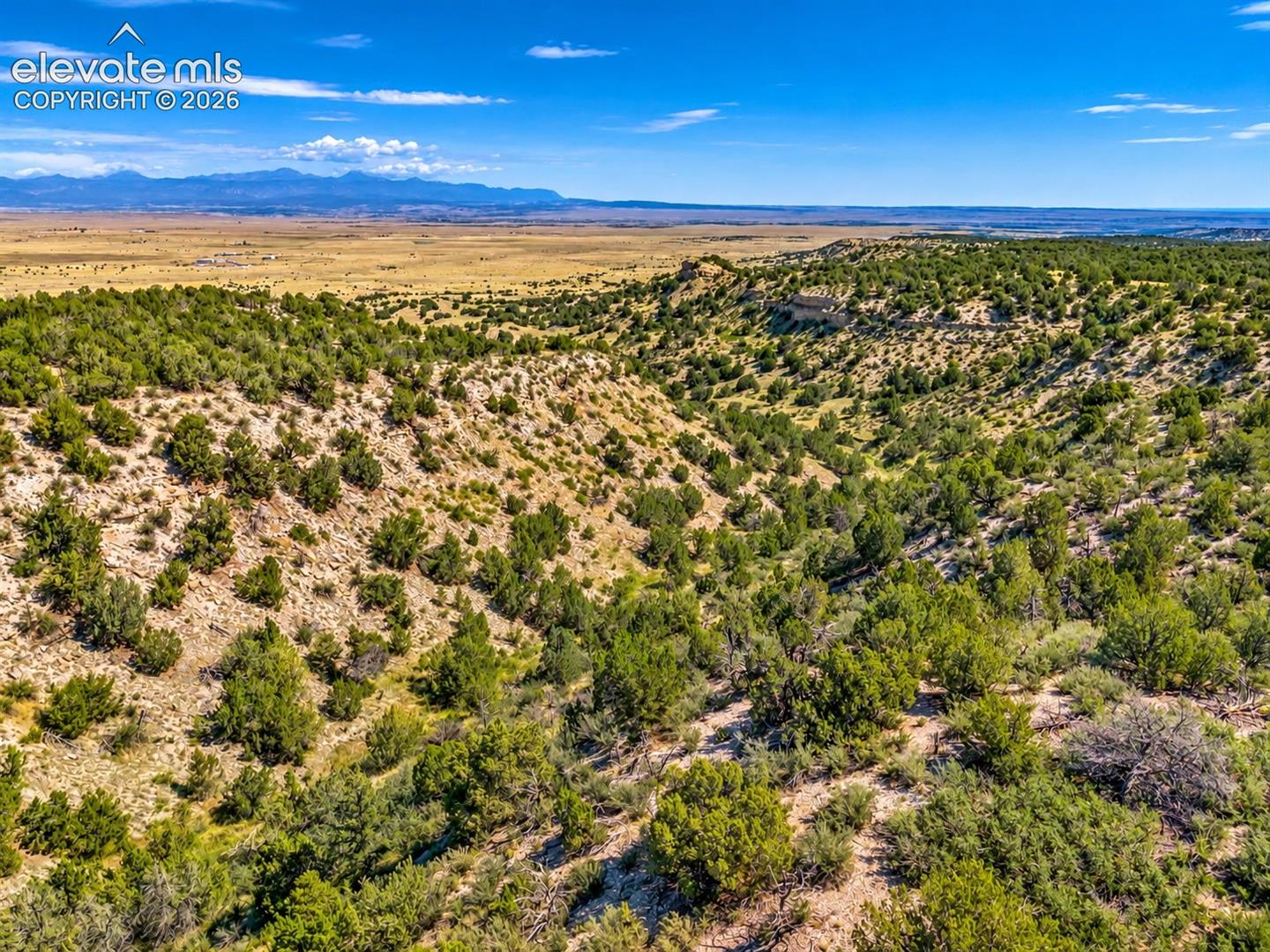 TBD Newton Road