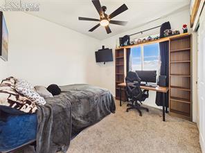 5047 Baseline View