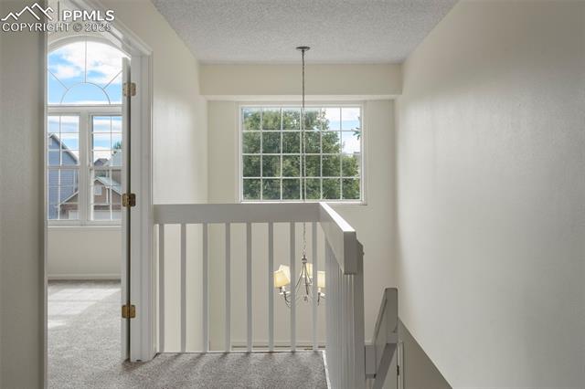 4955 Ramblewood Drive