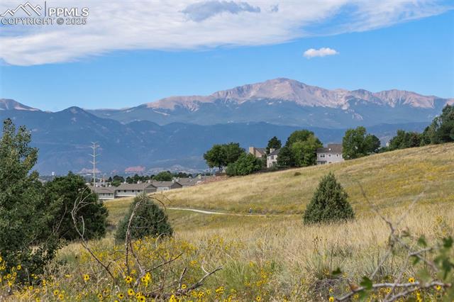 4955 Ramblewood Drive