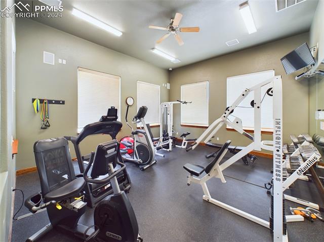 4332 Alder Springs View