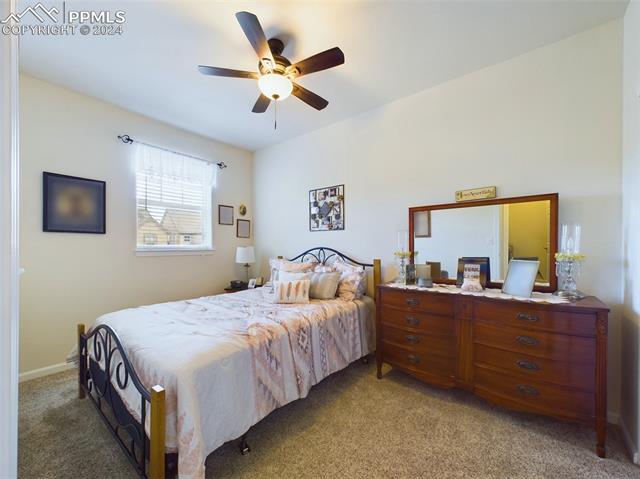 4332 Alder Springs View