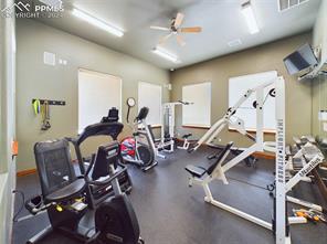 4332 Alder Springs View