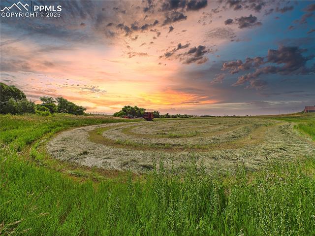 11834 Cave Spring Road