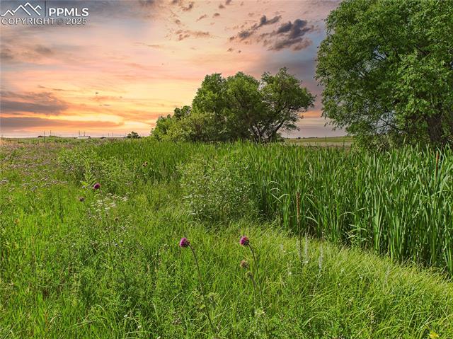 11834 Cave Spring Road