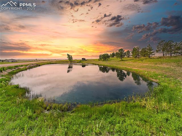 11834 Cave Spring Road