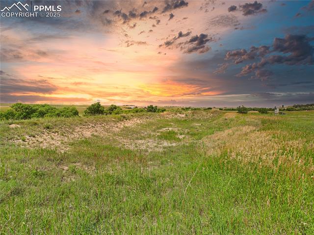 11834 Cave Spring Road