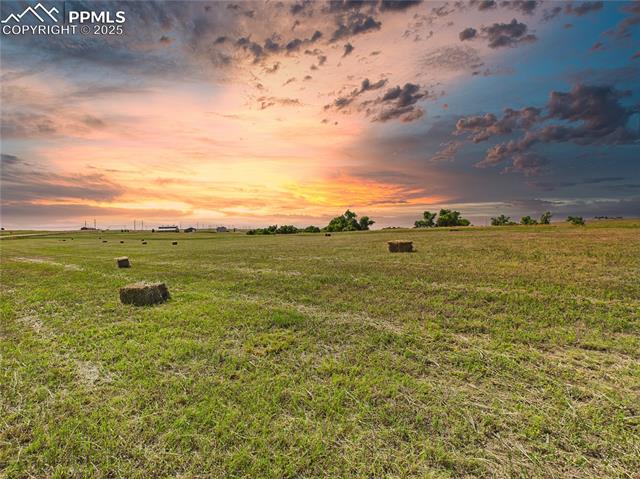 11834 Cave Spring Road