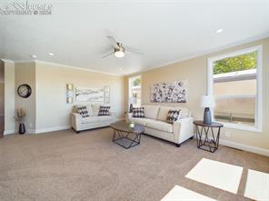 7042 Otoole Drive