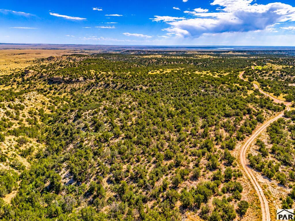 TBD Newton Rd