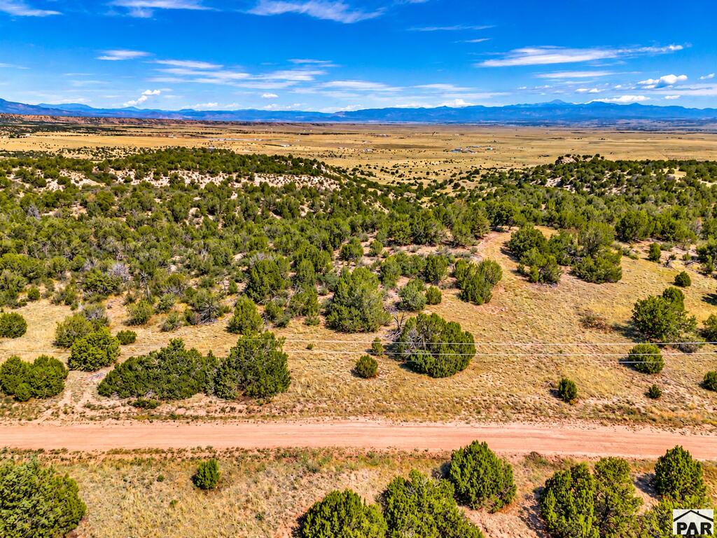TBD Newton Rd