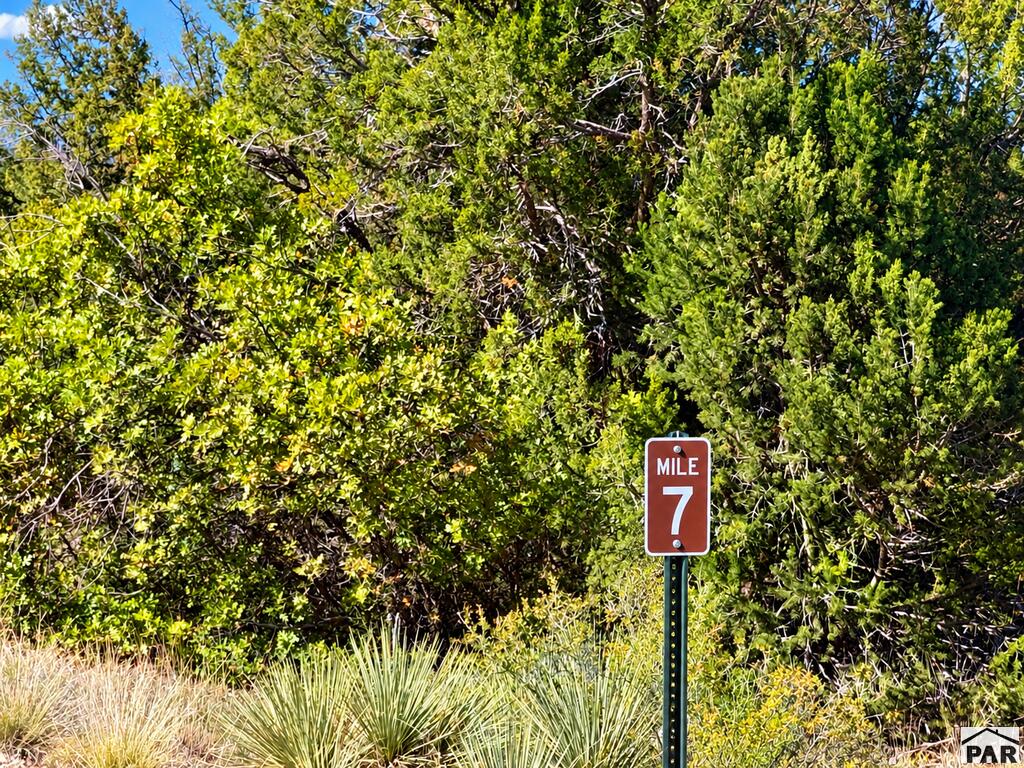TBD Newton Rd