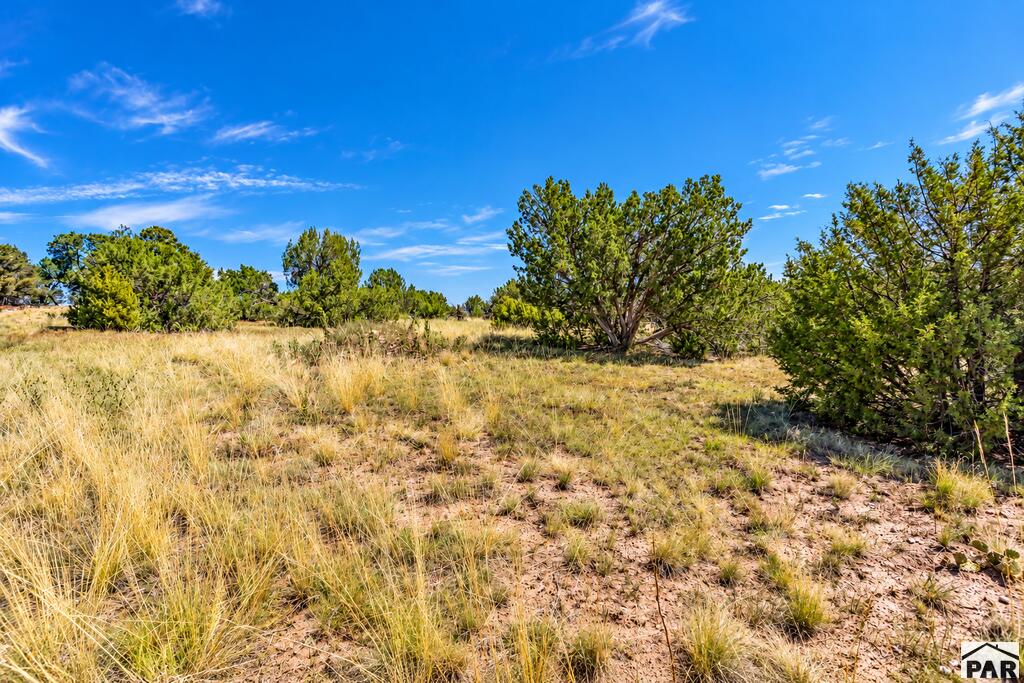 TBD Newton Rd