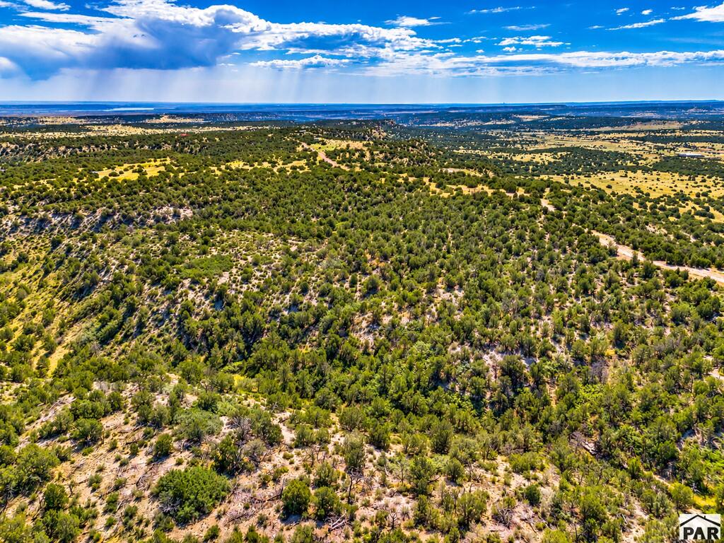TBD Newton Rd