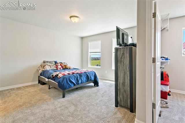 7864 Bone Creek Point