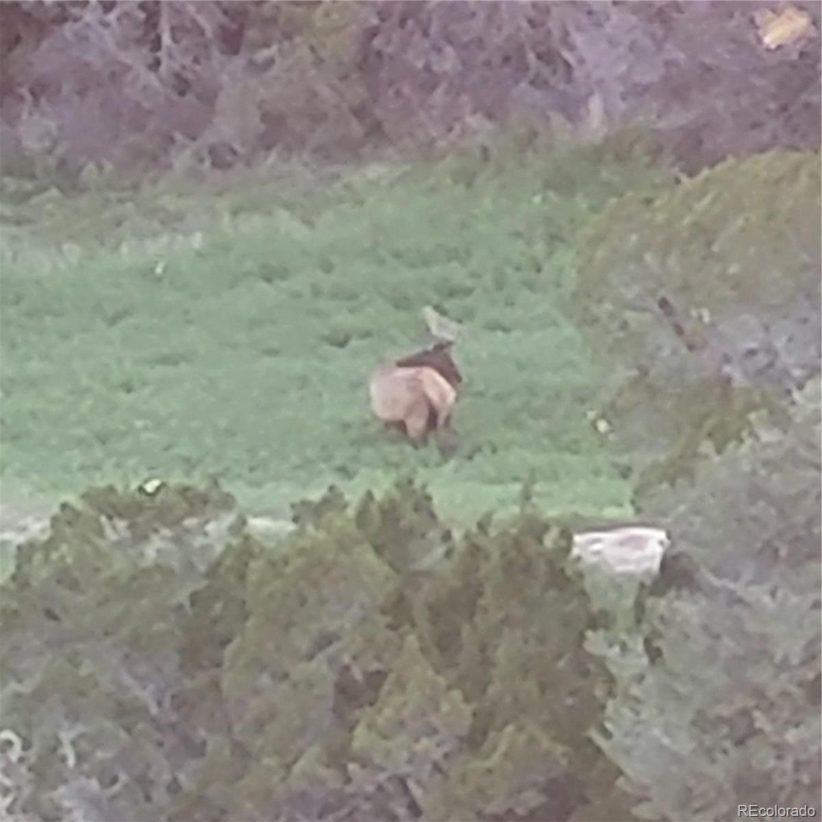 485 Grazing Bit Trail
