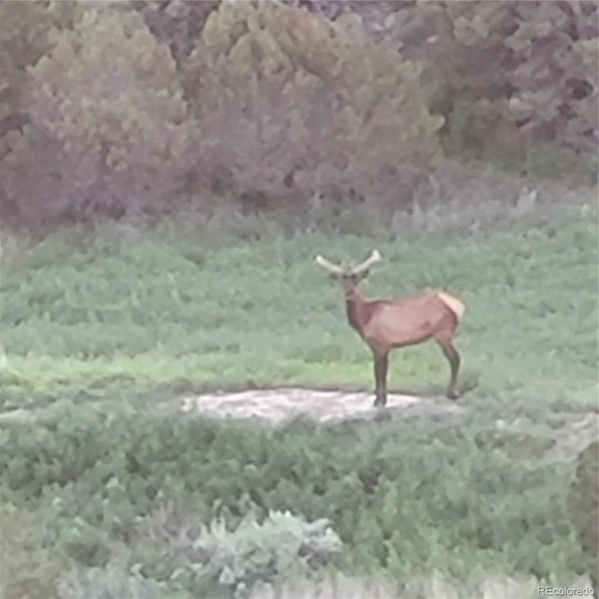 485 Grazing Bit Trail
