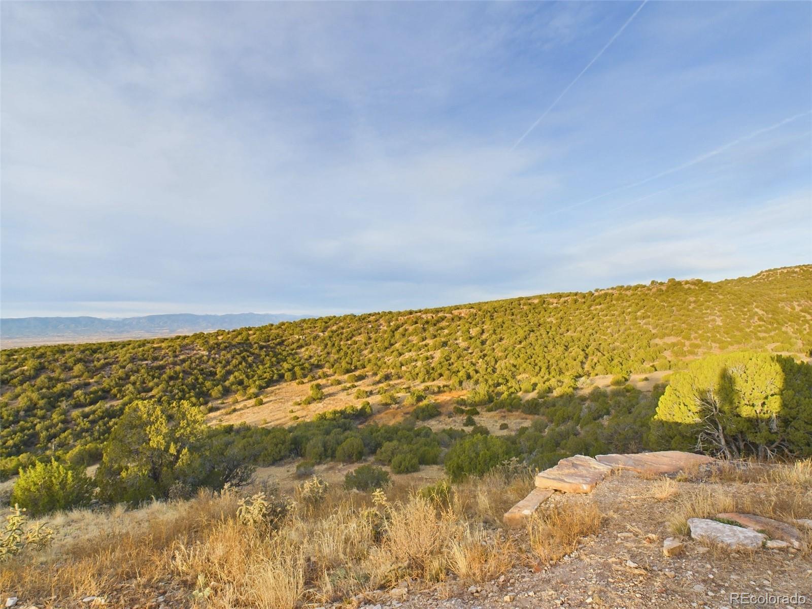 485 Grazing Bit Trail