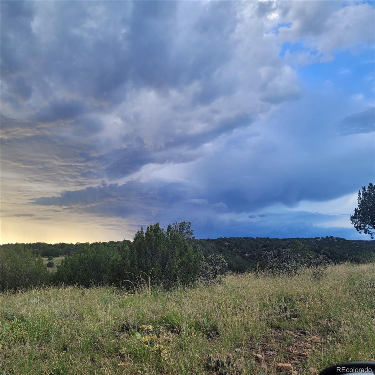 485 Grazing Bit Trail