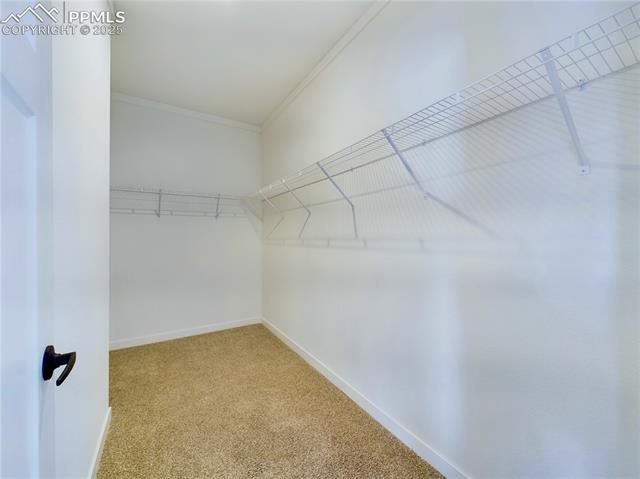 123 E Byrd Drive