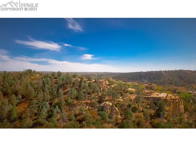 4295 Ridgecrest Drive