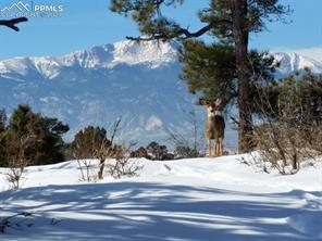 4295 Ridgecrest Drive