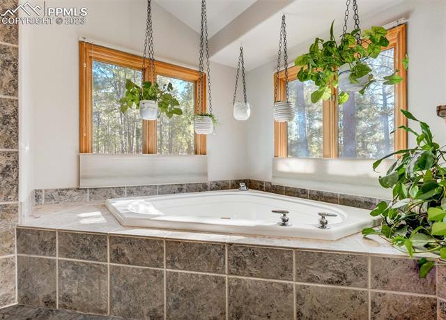 17305 W Goshawk Road