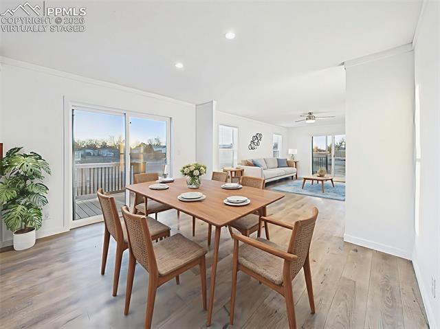 77 E Dante Lane