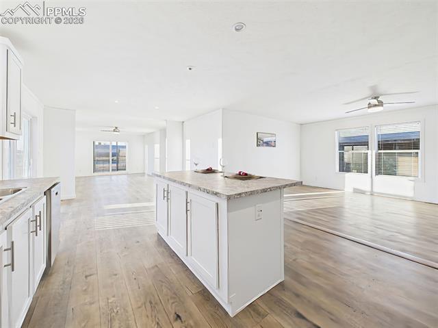 77 E Dante Lane