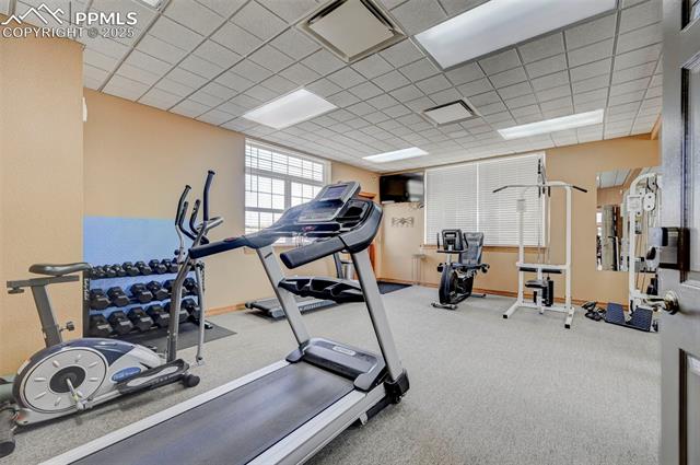 7611 Black Bear Point