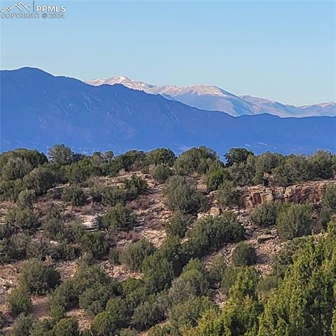 485 Grazing Bit Trail