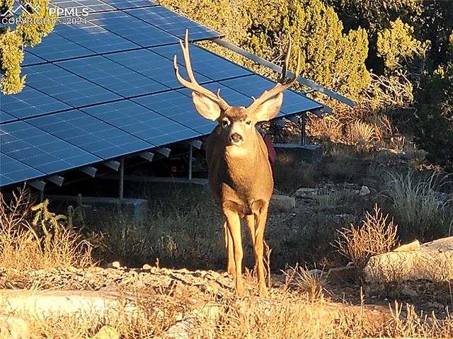 485 Grazing Bit Trail