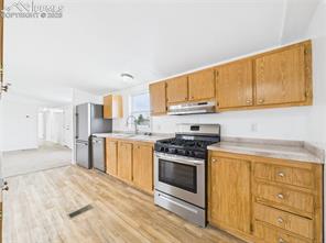 954 S Silt Drive