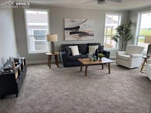 7041 OTOOLE Drive