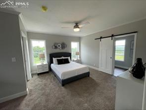 7041 OTOOLE Drive