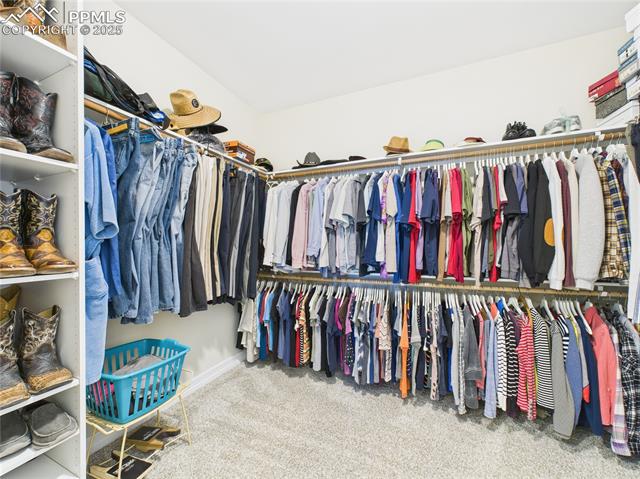 557 S Archdale Drive