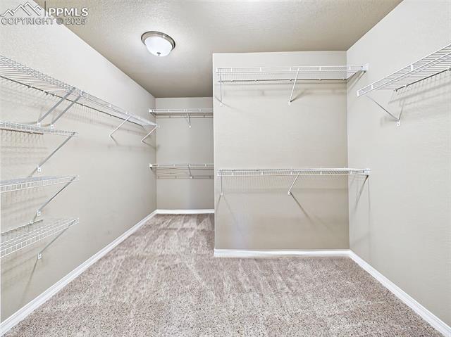 10797 Hidden Prairie Parkway