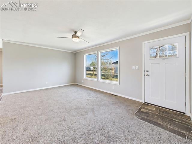 362 E Stewart Drive