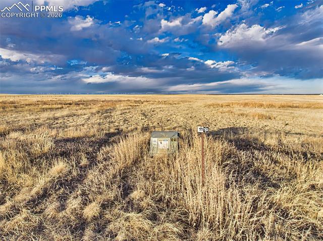 29848 Lonesome Dove Lane