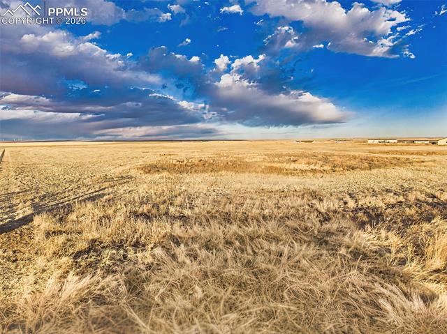 29848 Lonesome Dove Lane