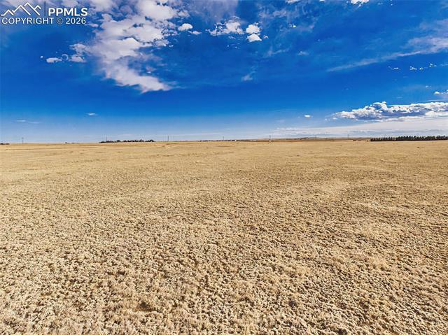 29866 Cross Bow Court