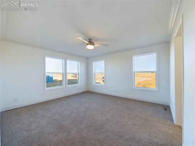 6537 Otoole Drive