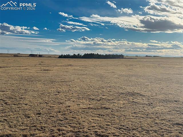 29895 Cross Bow Court