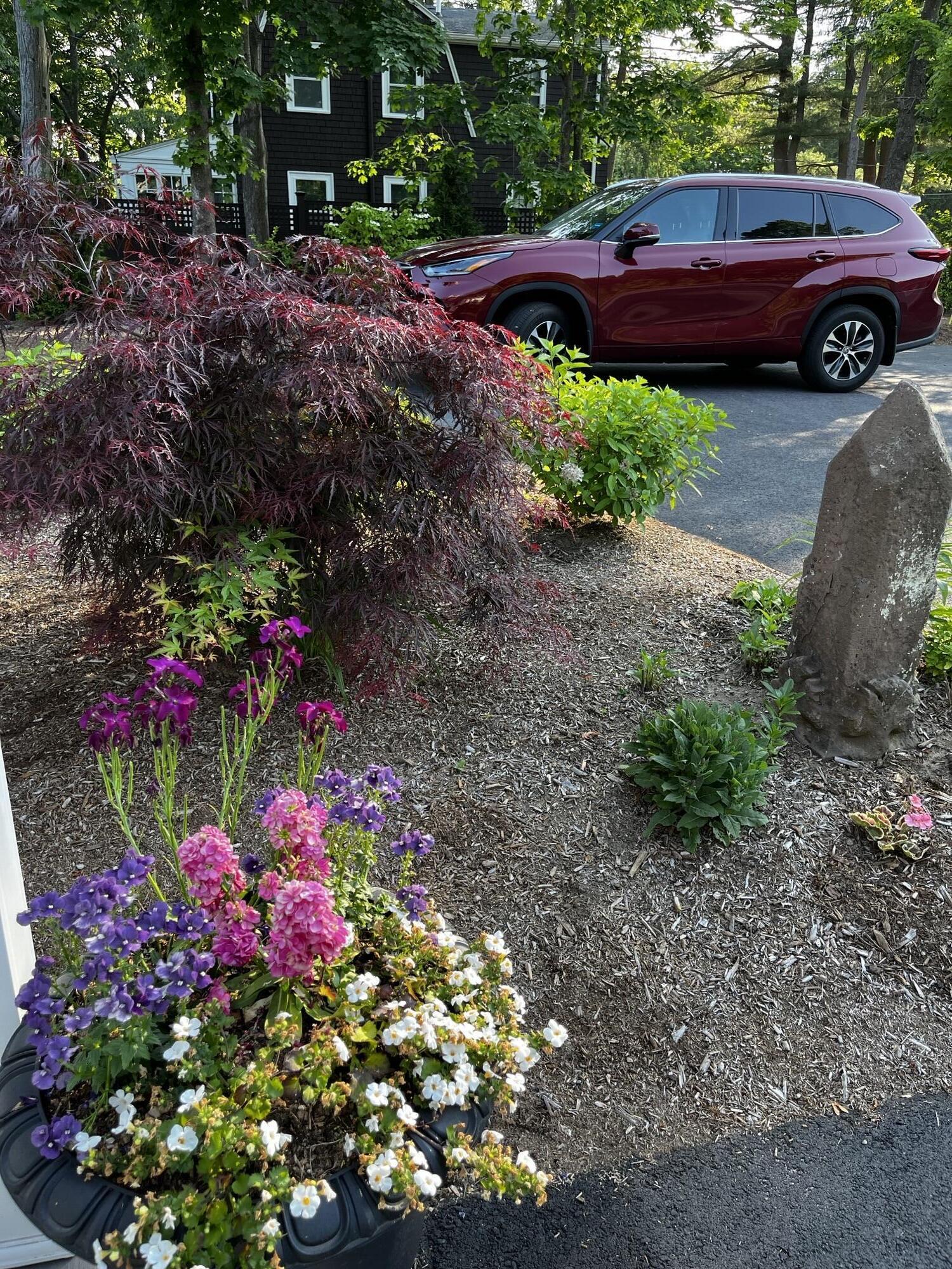 21 Fernald Avenue, B