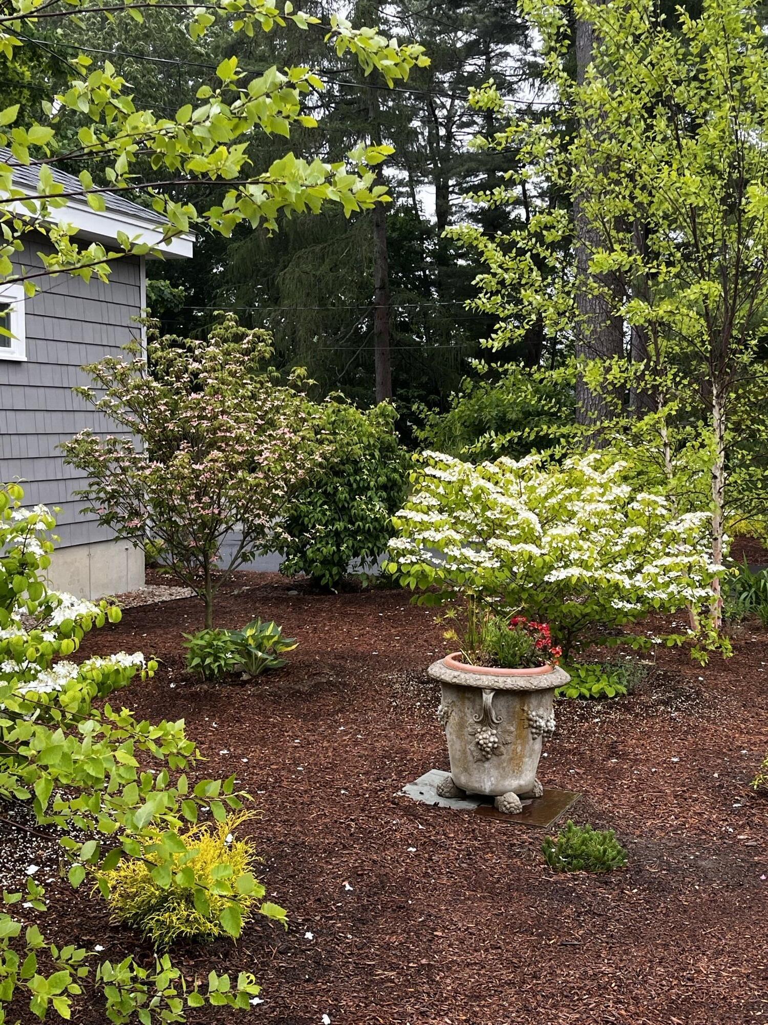 21 Fernald Avenue, B